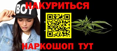 индика Дубна