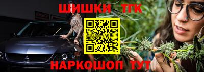 индика Дубна
