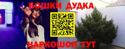 индика Дубна