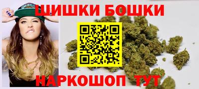 индика Дубна