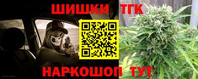 индика Дубна