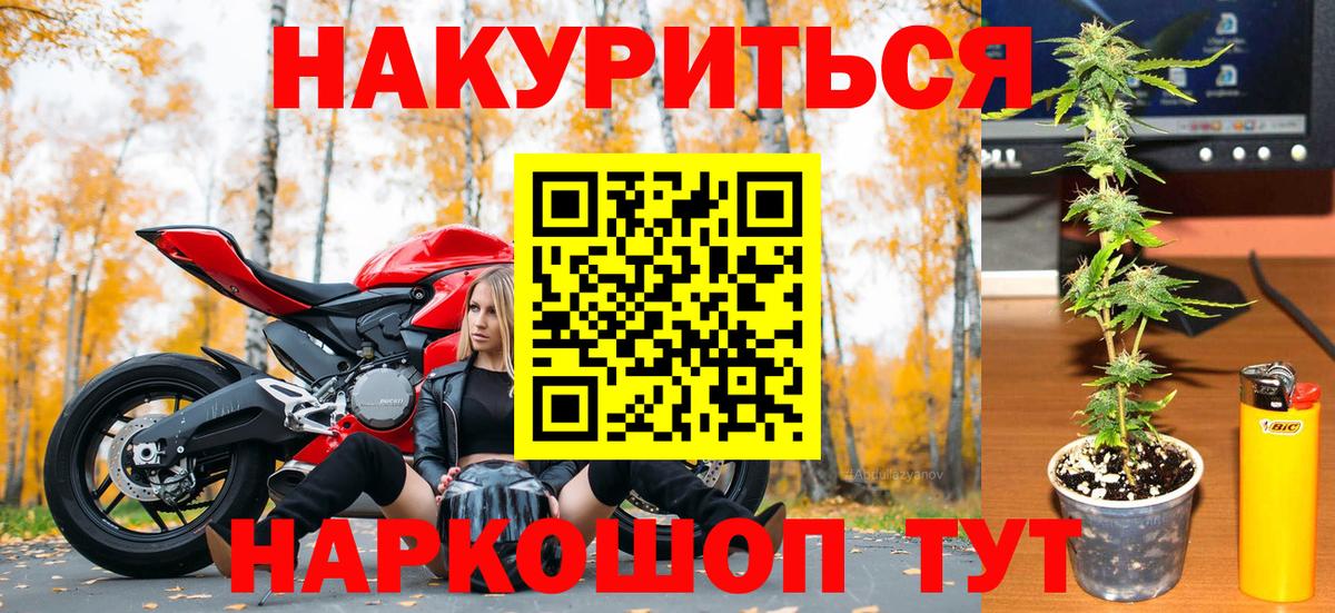 Бошки Шишки конопля Кызыл